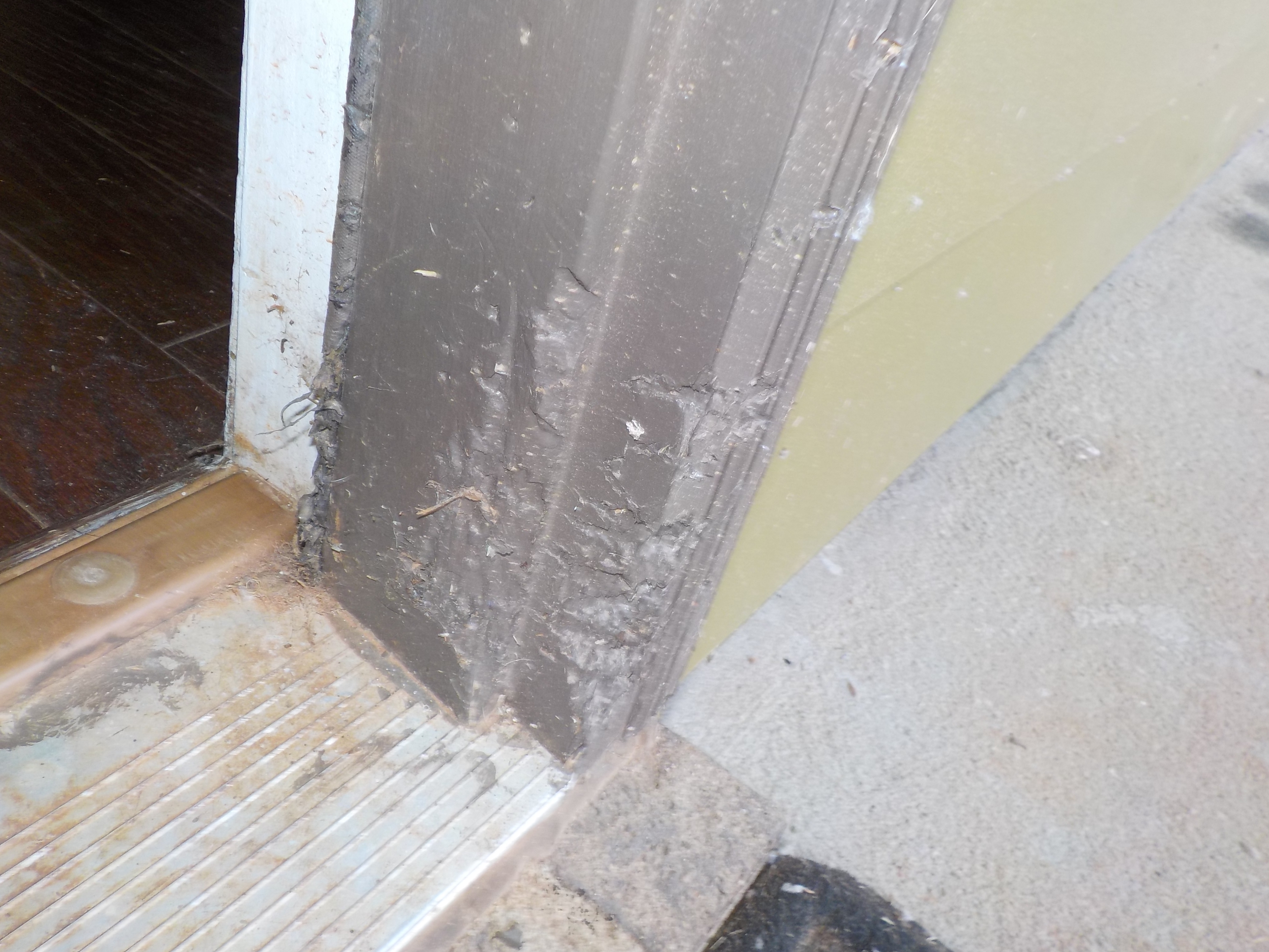 Exterior pet damage