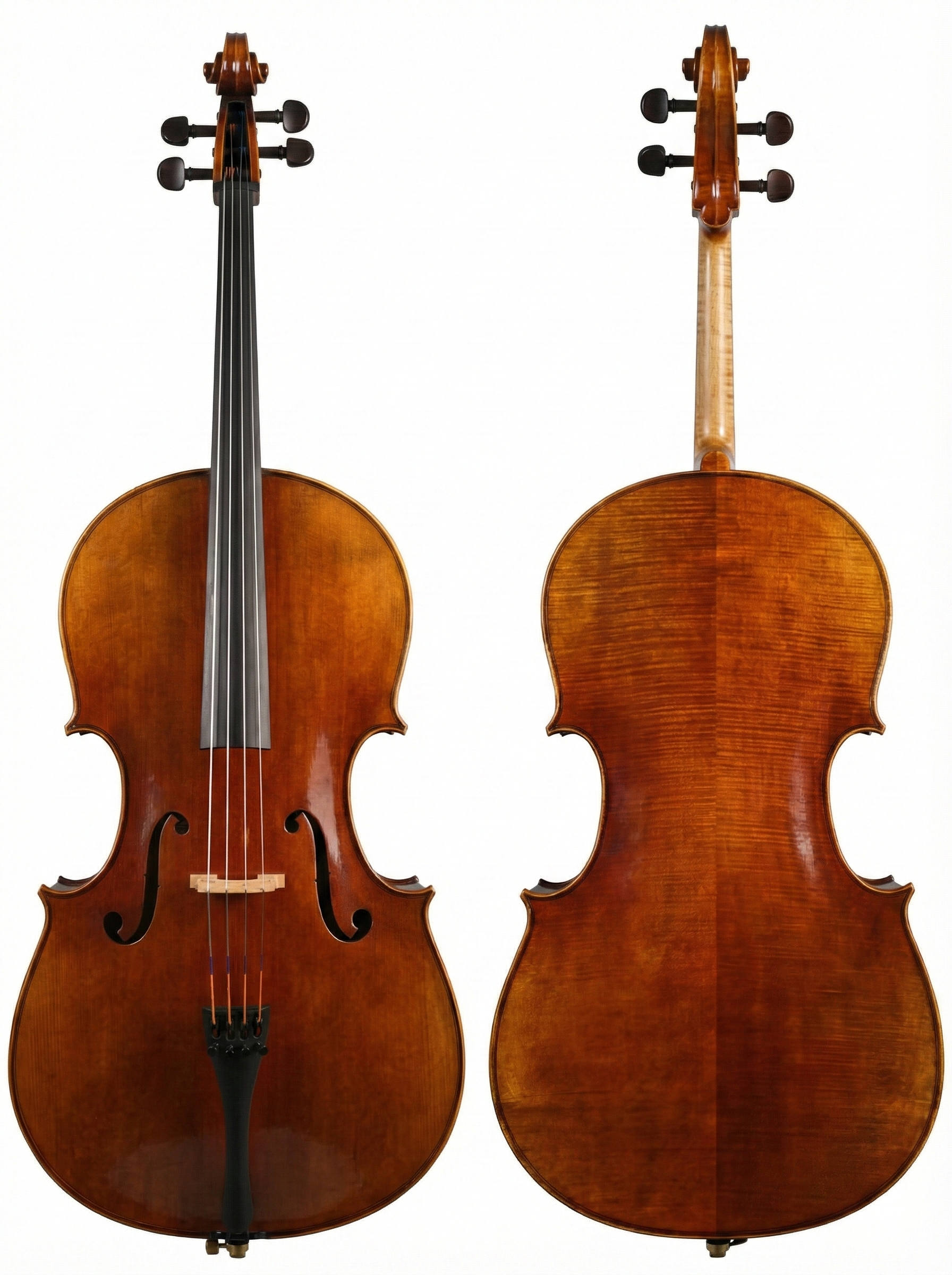 צ'לו מקצועי דגם Arcolli 505 שנבנה על ידי בונה כינורות: תצוגת חזית וגב מעץ אדר מנומר (Flamed Maple) מובחר ולכה ביישום ידני