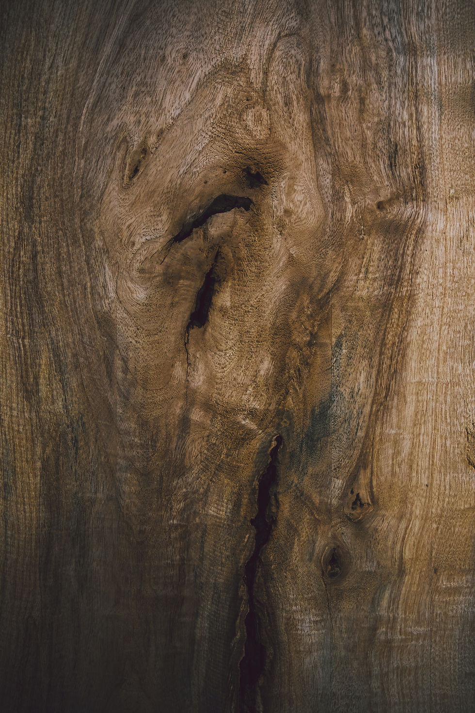 patrick-fore-bg20VZvrfvY-unsplash