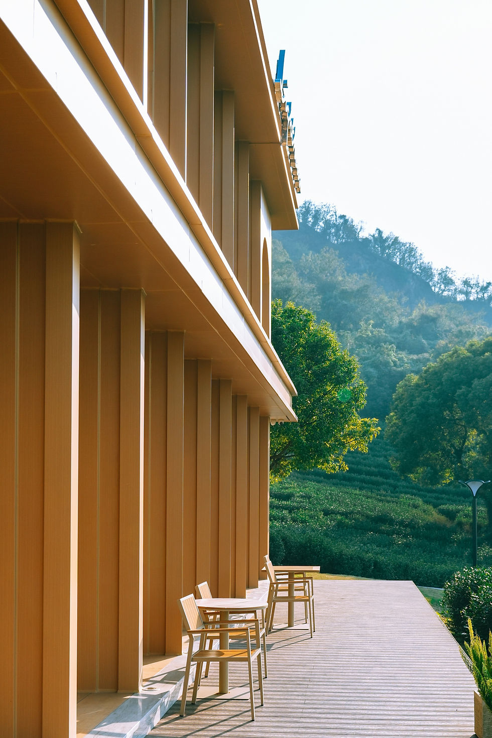 Patio_XIRU IMAGERY.jpg