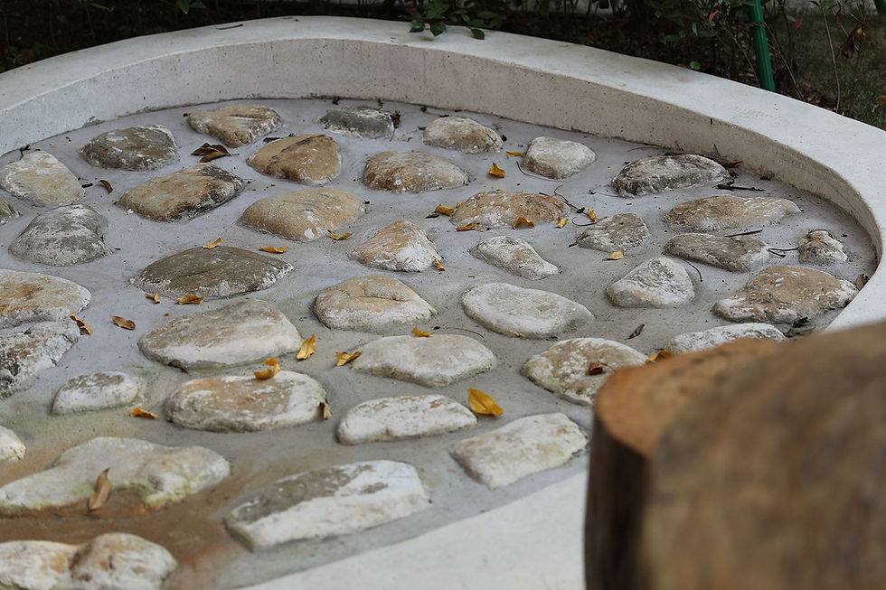 岩石花园rock garden_2.jpg