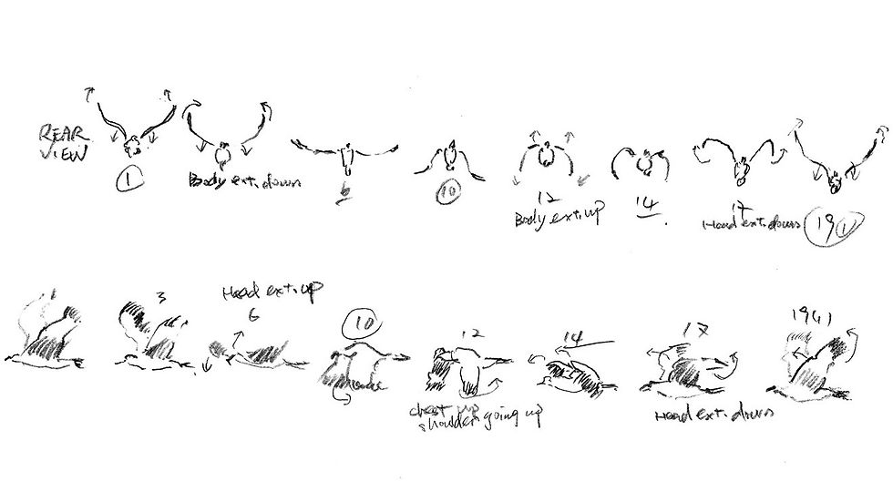 bird study-crop-u446693.jpg