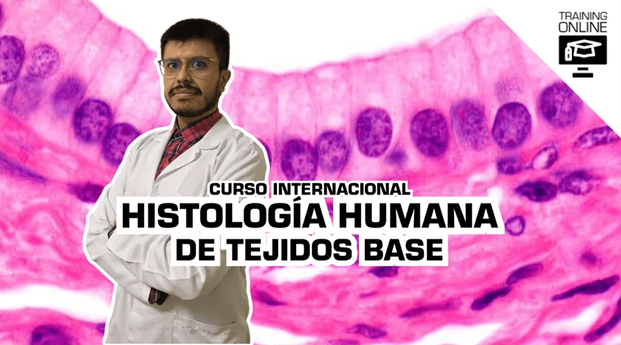 CURSO HISTOLOGIA HUMANA DE TEJIDOS BASE - CITORUSHTC.webp