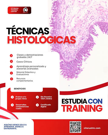 06-TECCITORUSHTC_EDTECH.jpg