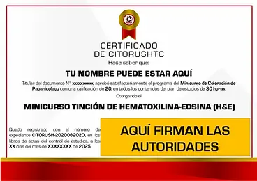 Minicurso tinción de Hematoxilina-Eosina (H&E).webp