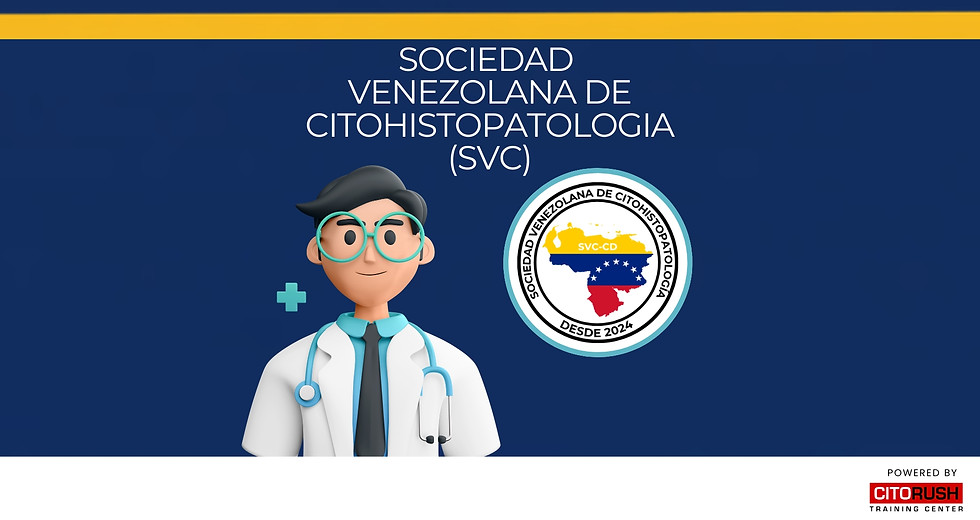 SVC (1920 x 1020 px).jpg