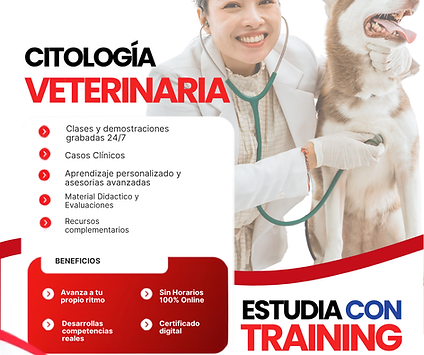 03-VETCITORUSHTC_EDTECH.png
