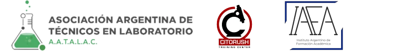 LOGOS AVALES ACADEMICOS.1.webp