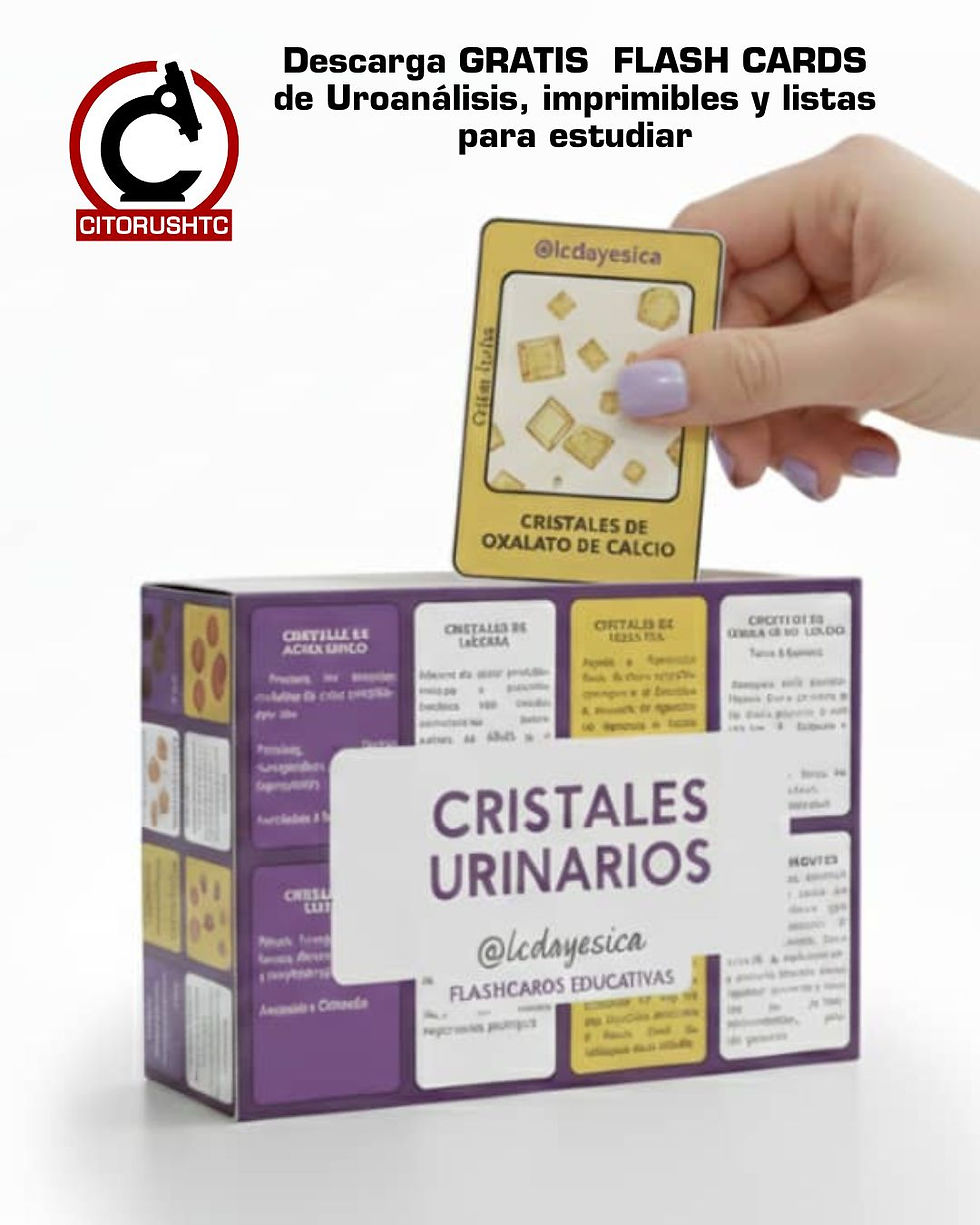 uroanalisis