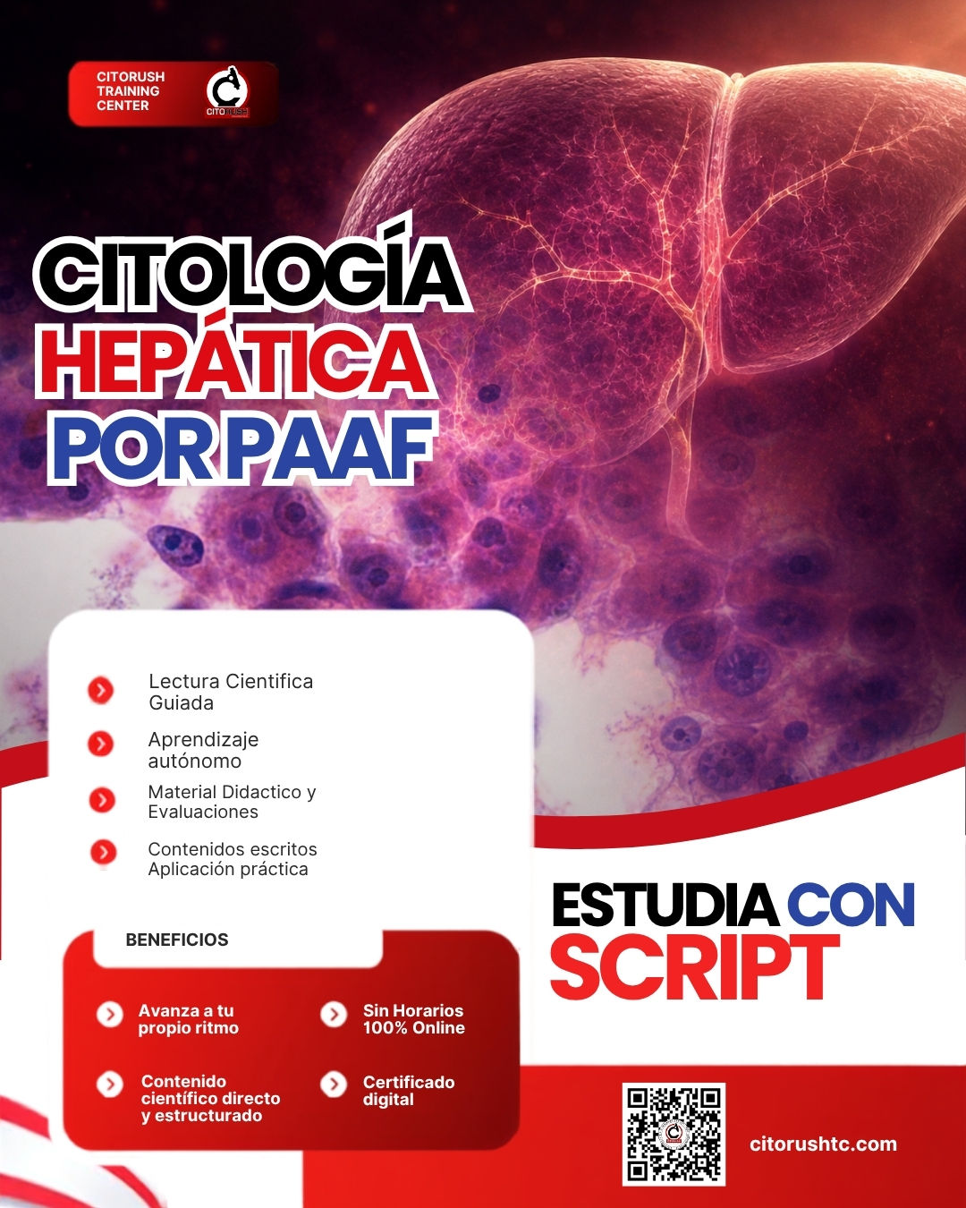 SCRIPT-18 Citología Hepática por PAAF