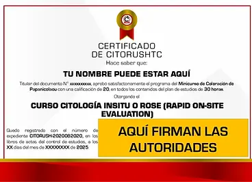 CURSO CITOLOGÍA INSITU O ROSE (RAPID ON-SITE EVALUATION).webp