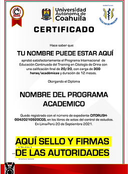 MODELO DIPLOMA.png