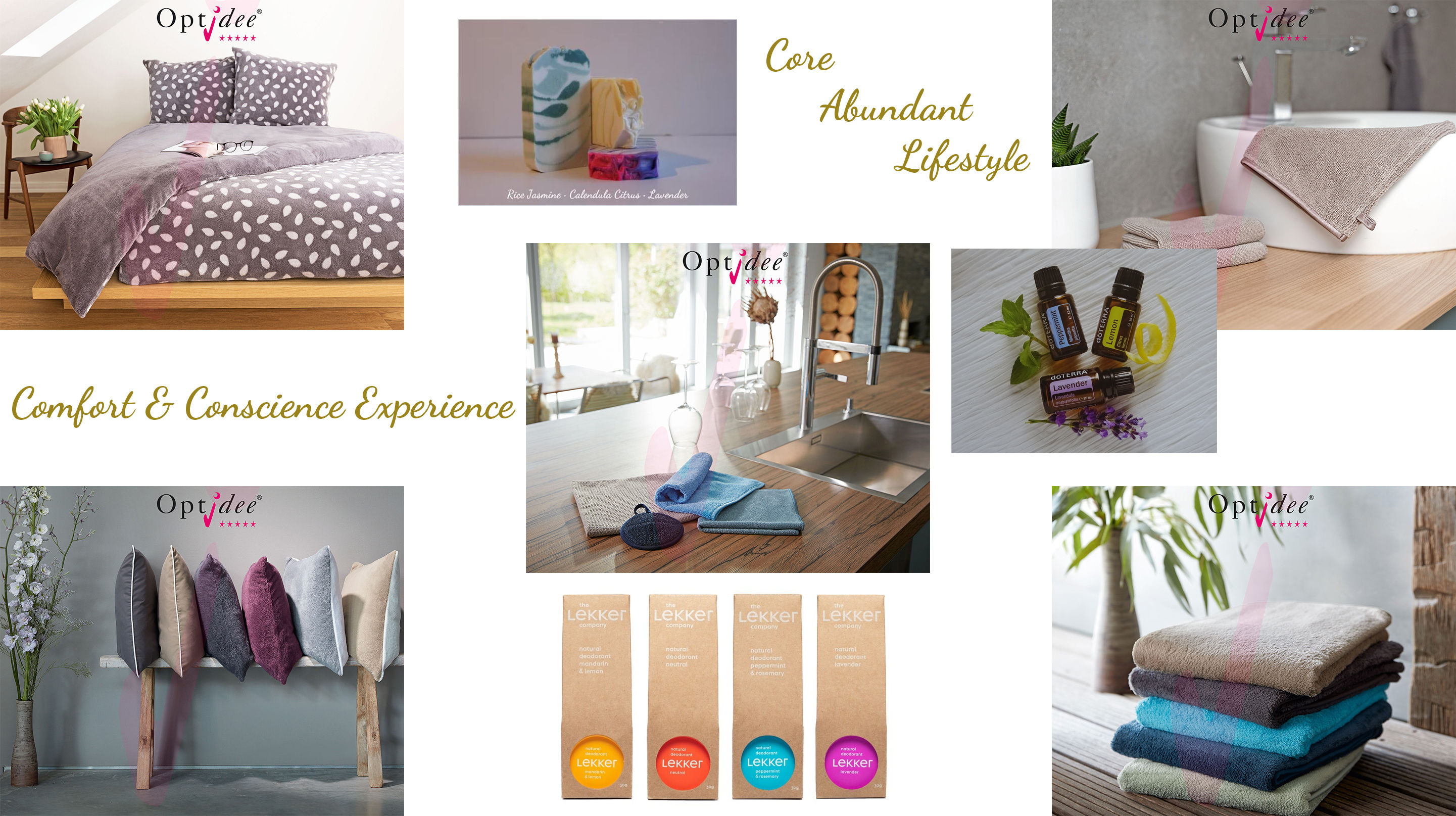 Comfort & Conscience Experience