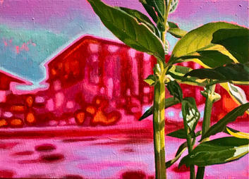 GUERILLA GARDENING 21
