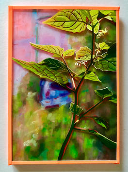 GUERILLA GARDENING 23