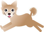 走る犬