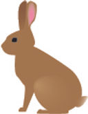 うさぎ