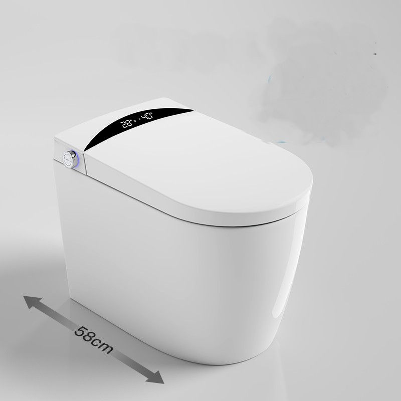 Miniatura: Inodoro inteligente ZIN-T41