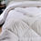Thumbnail: Comforter LisoB