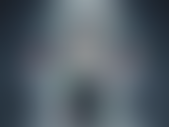 20 workingdays council stop clock