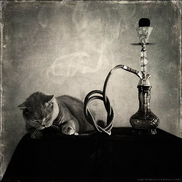 Кальян Табак