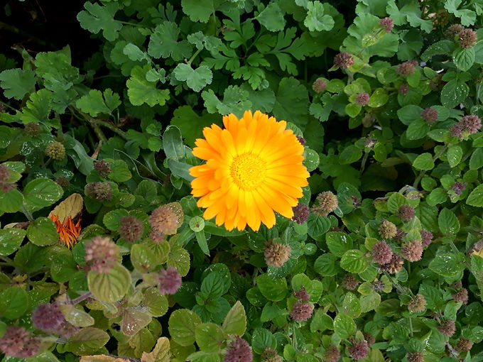 20190930_150510.jpg