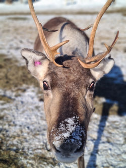 20230301_122124 - kopie