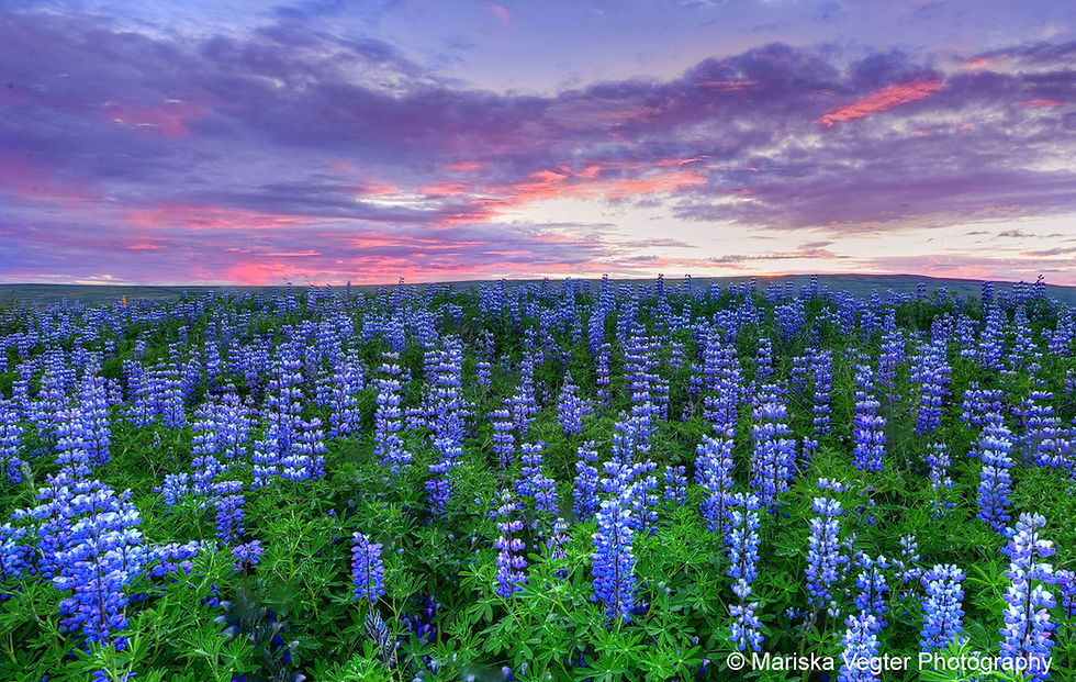 DSC_1302_3_4_5_6_tonemappedkl