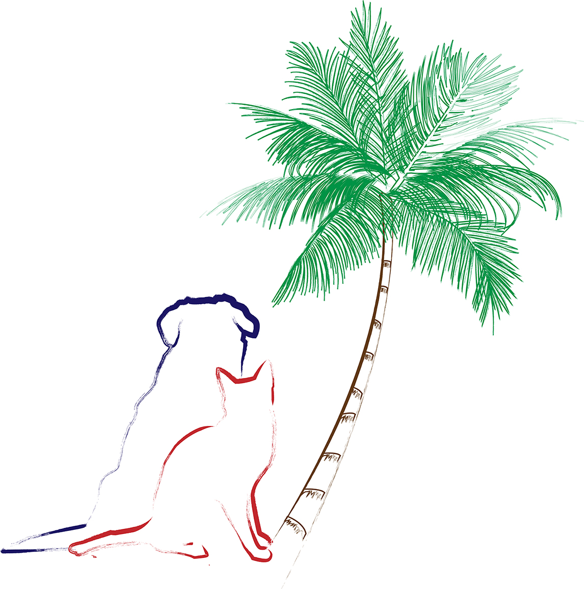 Davis Island Animal Clinic gallery