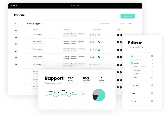 report-management-kabaun-platform.webp