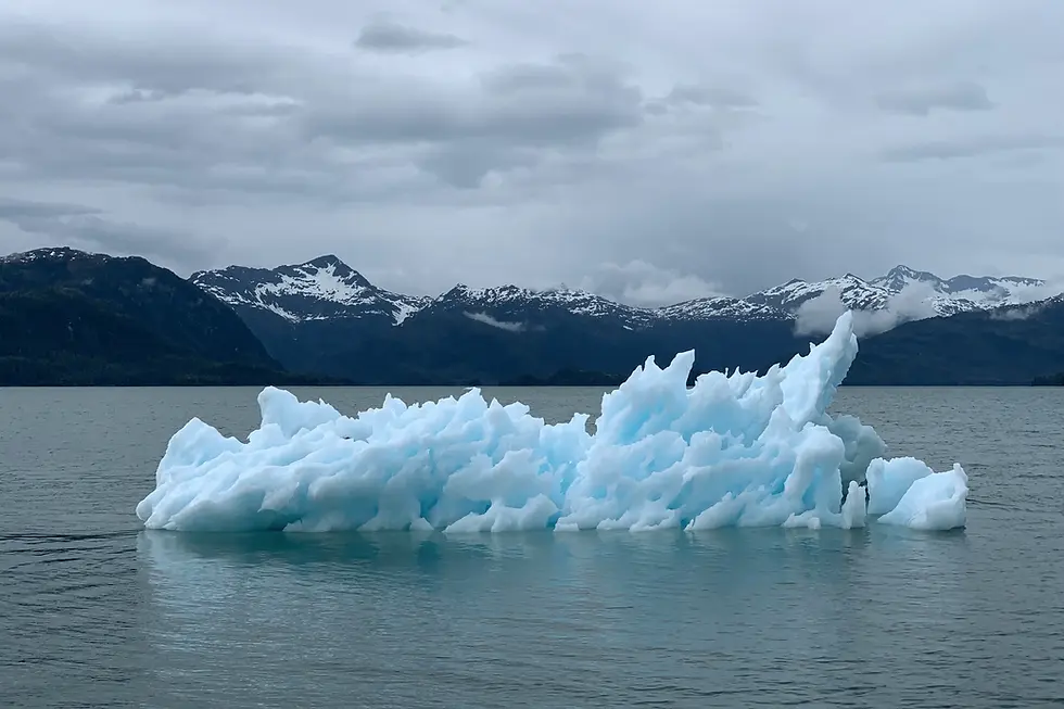 CSRD : tout savoir sur la norme ESRS E1 sur le changement climatique