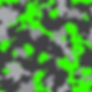 camo.png