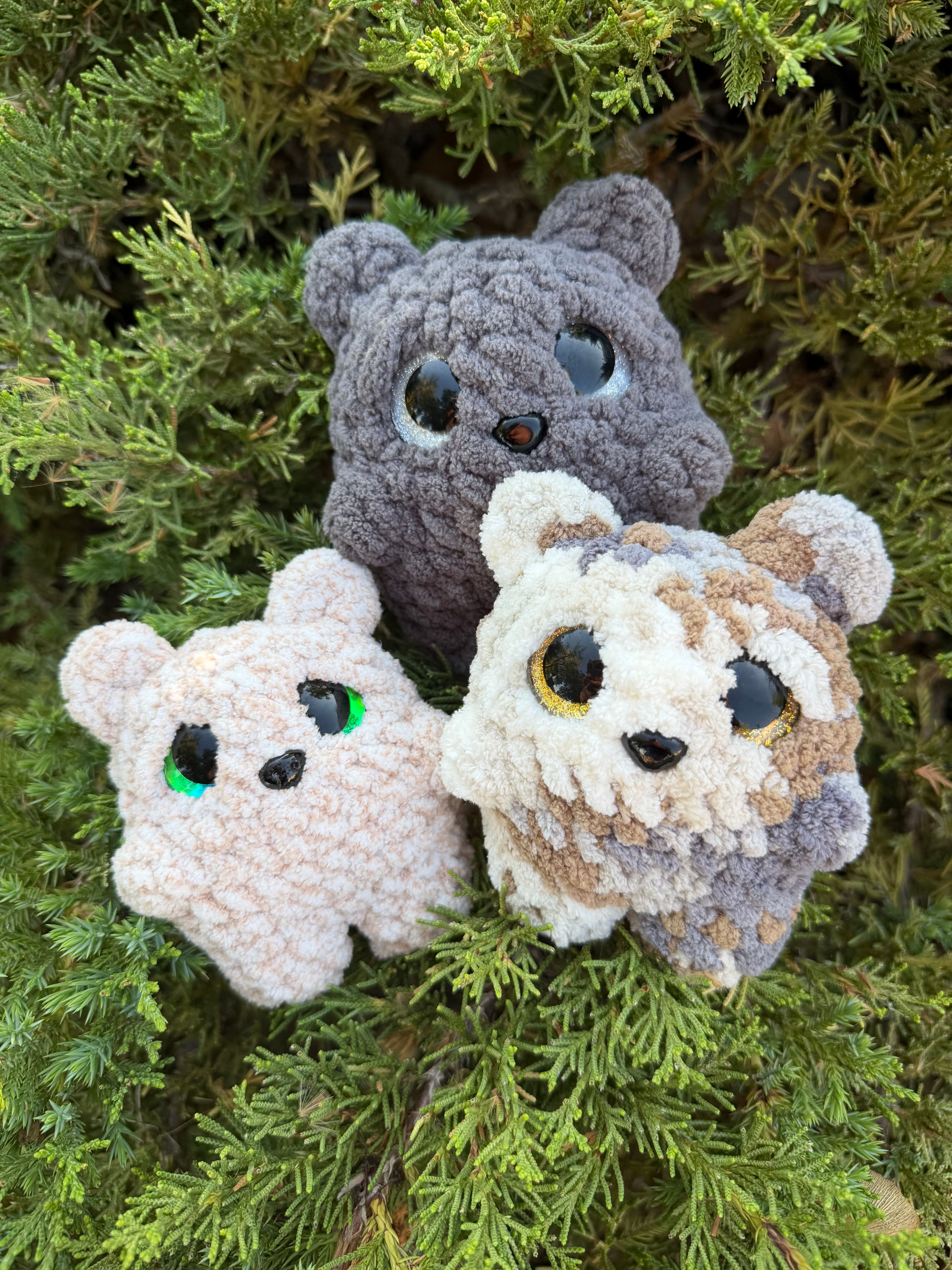 Baby Bears!!