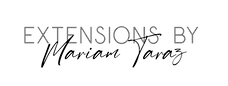 mt_logo.png