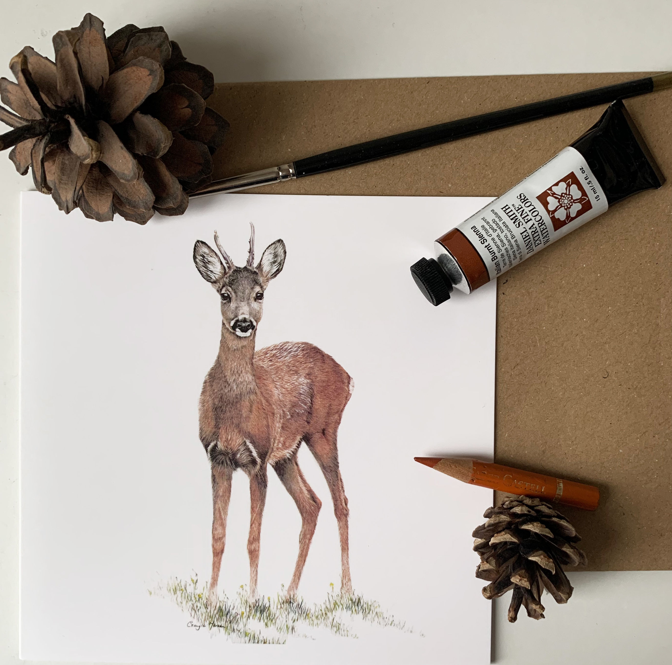 Roe Deer Greeting Card