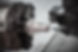 AdobeStock_436335942.jpeg