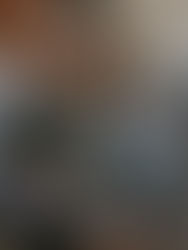 Team collaborating together