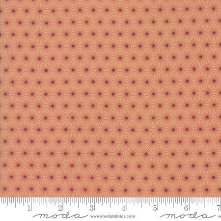 Pumpkin Pie Prints Laundry Basket Quilts Moda pumpkin seeds blush