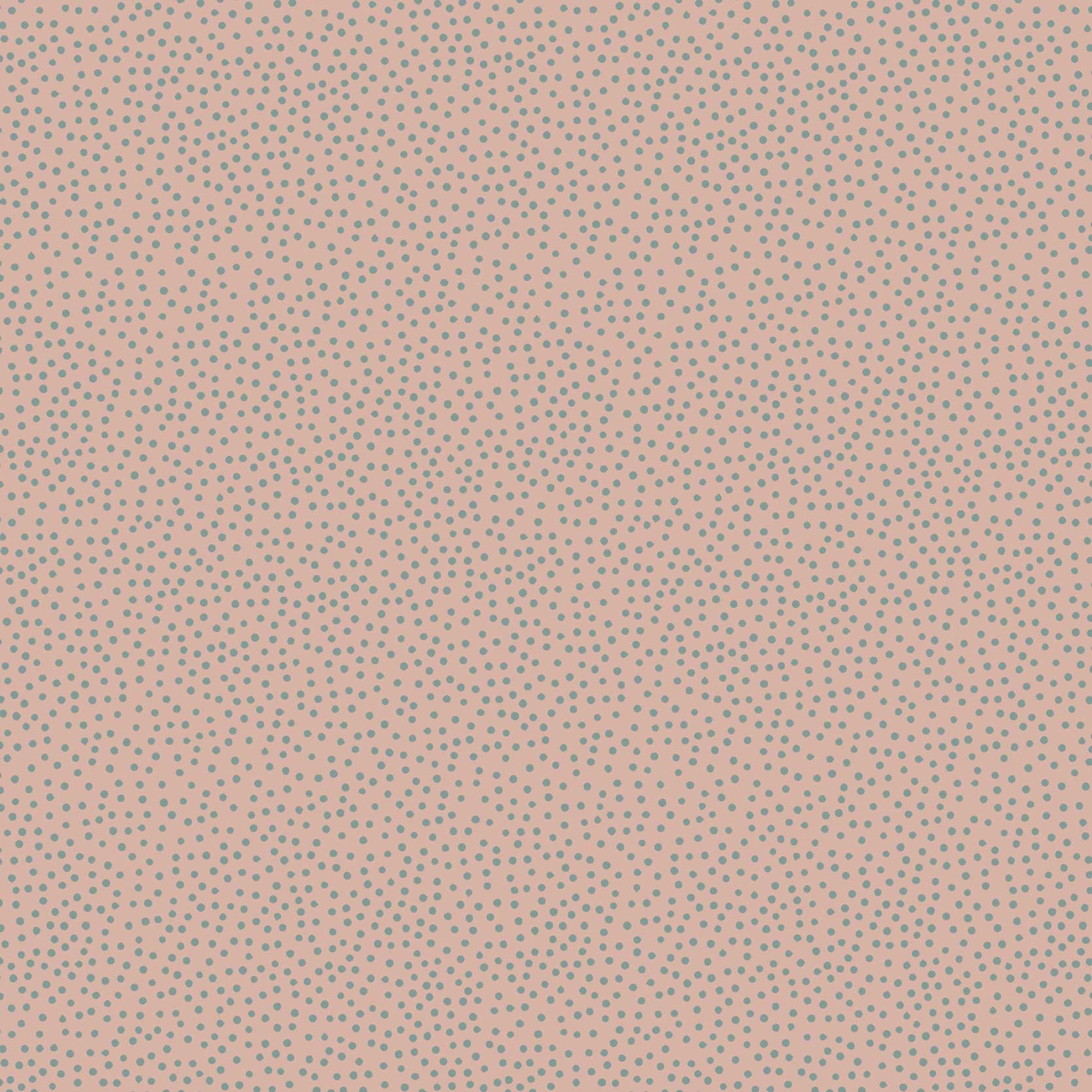 Birdhouse Basics DV3281