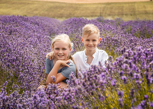 Lavender field photoshoot