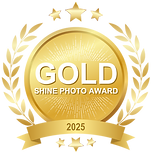 2025_SHINE-Award-GOLD.png