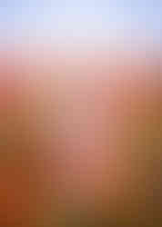 Outdoor photoshoot in Gloucester