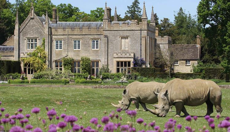 family days out in Cotswold wildlife park