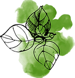 Watercolor Leaves 