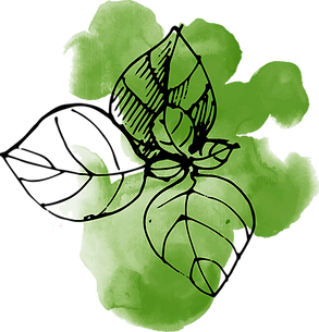 Watercolor Leaves