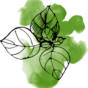 Watercolor Leaves