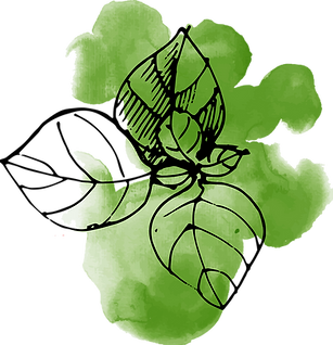Watercolor Leaves