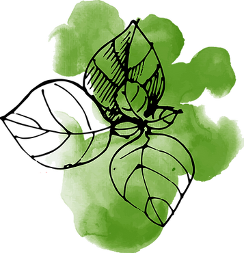 Watercolor Leaves