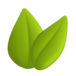 ExamFIx (1).png