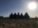 fe8ee435-bfae-4147-a99e-4870a2861c3a.jpg